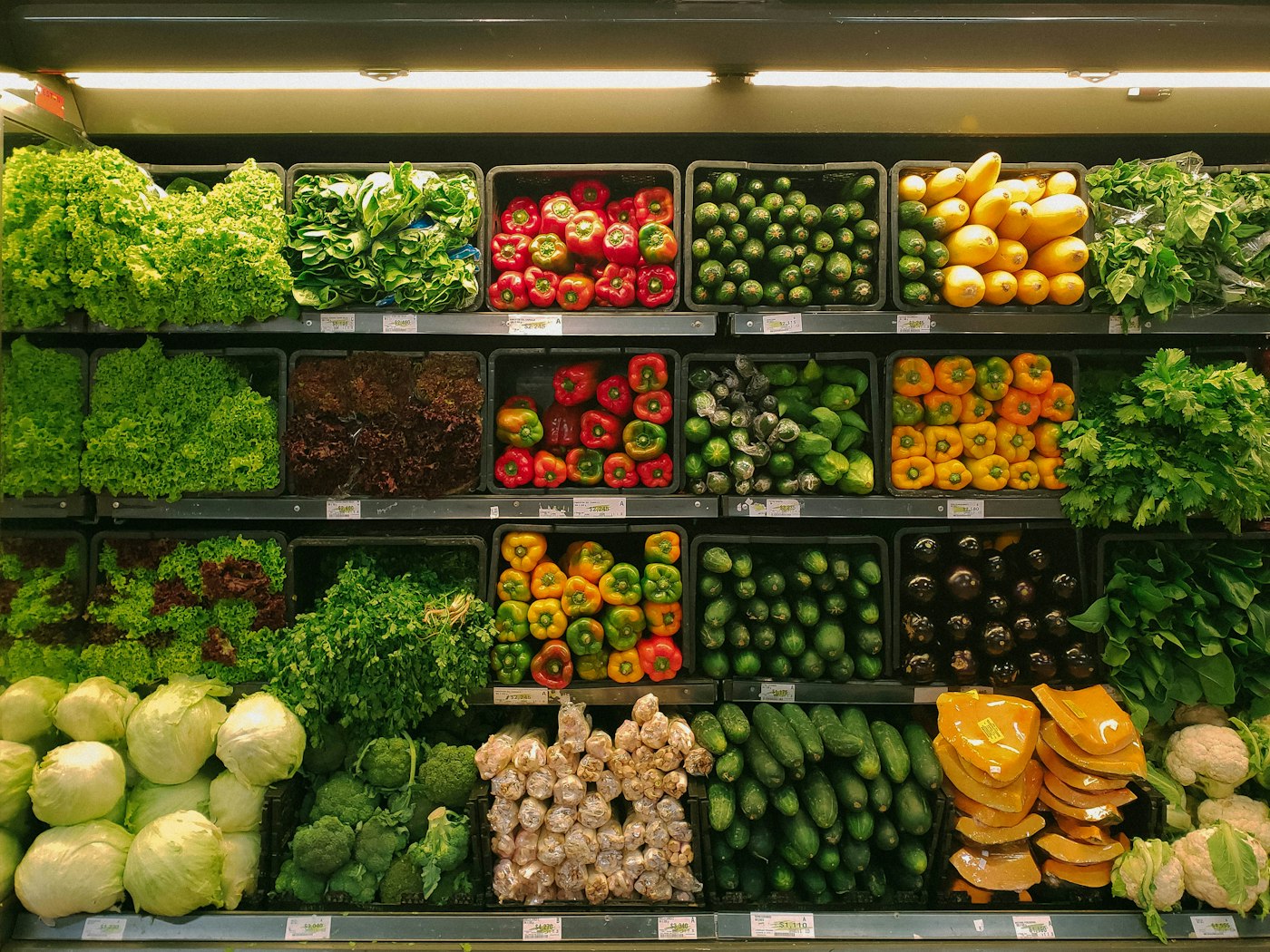 Colourful fresh vegetables and salads on display